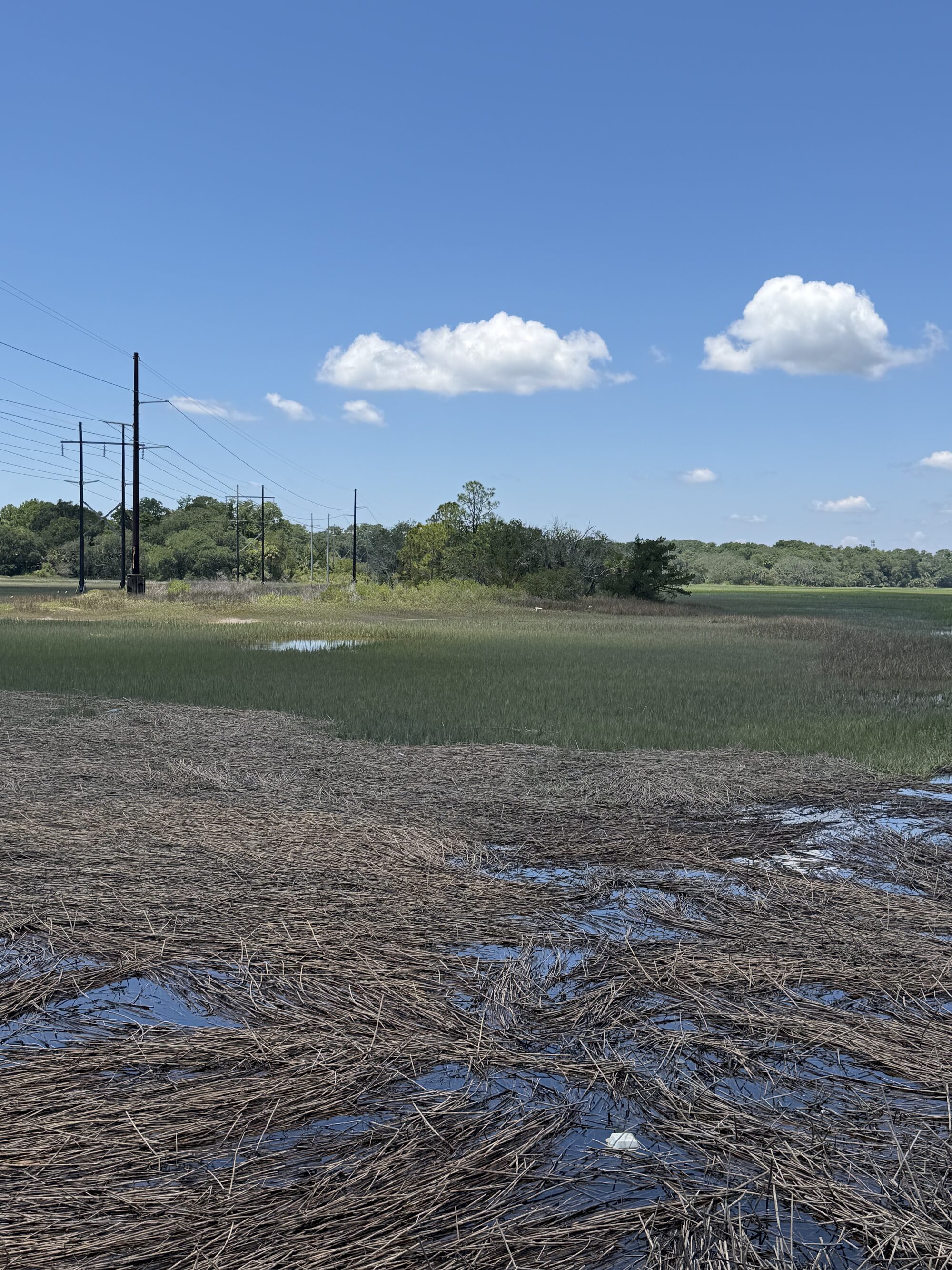 The Green Villas Resort waterfront parcel — protected tidal marsh and open water